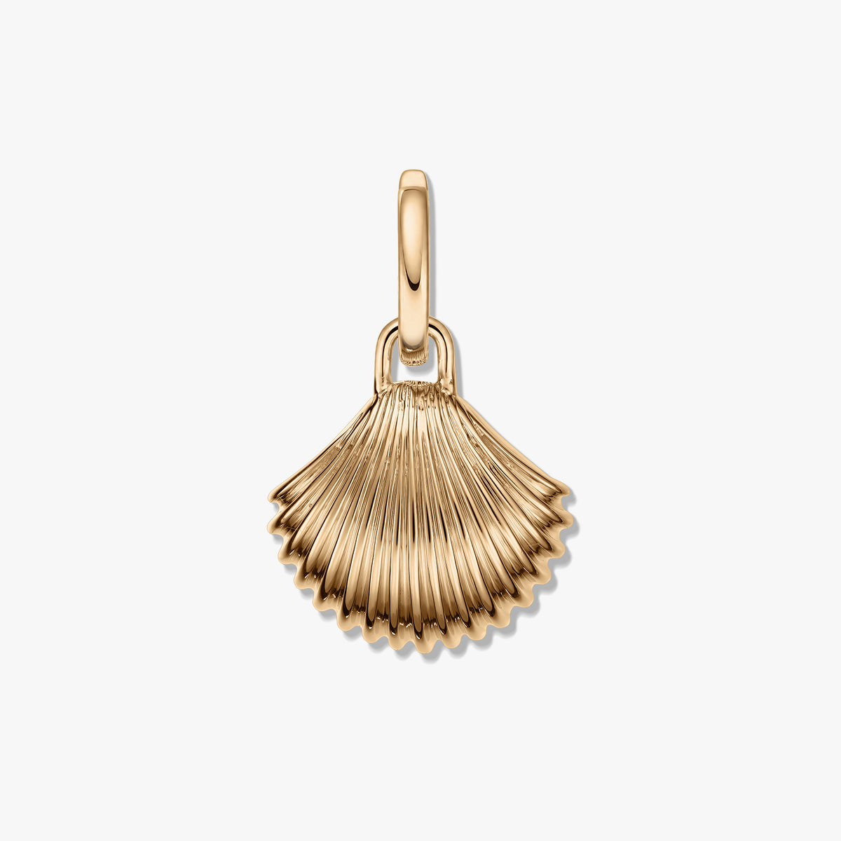 Ciondolo dorato a forma di conchiglia con texture rigata e finitura lucida tono oro su sfondo bianco.