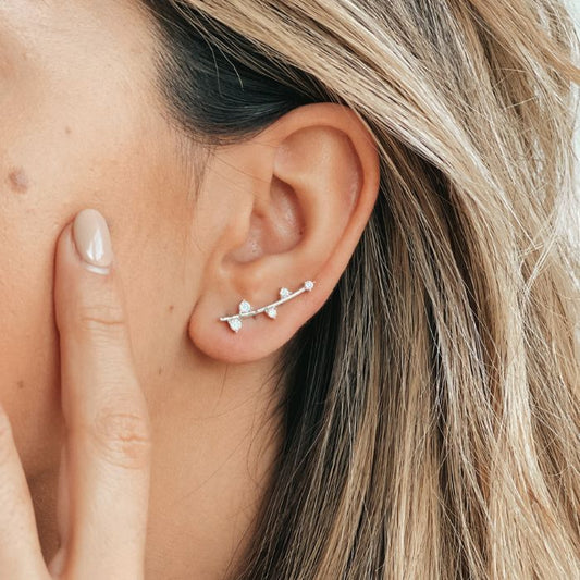 Orecchini in argento Ivy - Zirconi - Indira