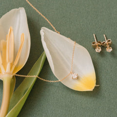 Oro 14K