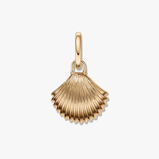 Ciondolo dorato a forma di conchiglia con texture rigata e finitura lucida tono oro su sfondo bianco.