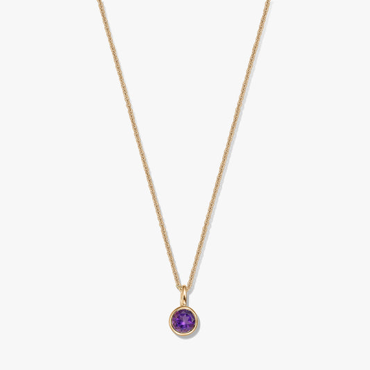 Collana in argento sterling placcato oro con un piccolo pendente rotondo con ametista come pietra di nascita su sfondo bianco.