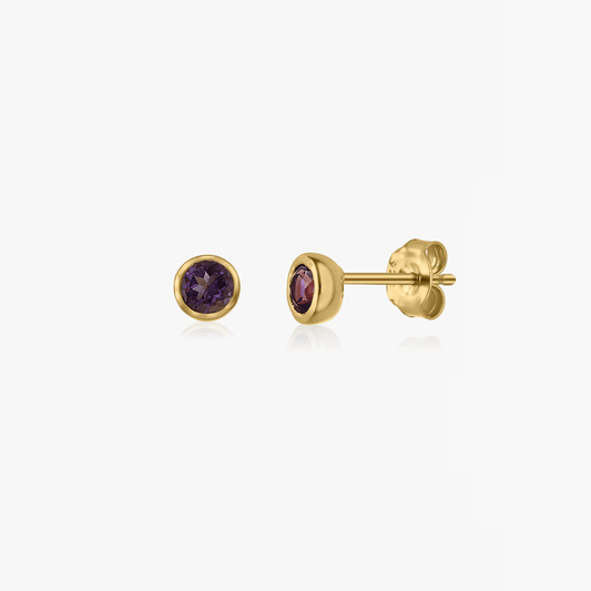 Orecchini in argento Birthstone Golden February - Ametista - Indira