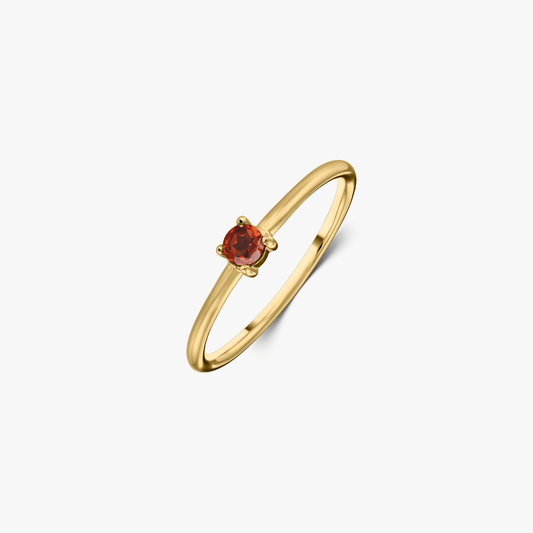 Anello in argento Birthstone Golden January - Granato - Indira
